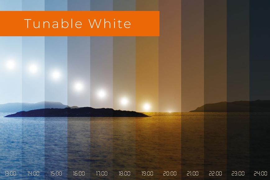 Tunable White
