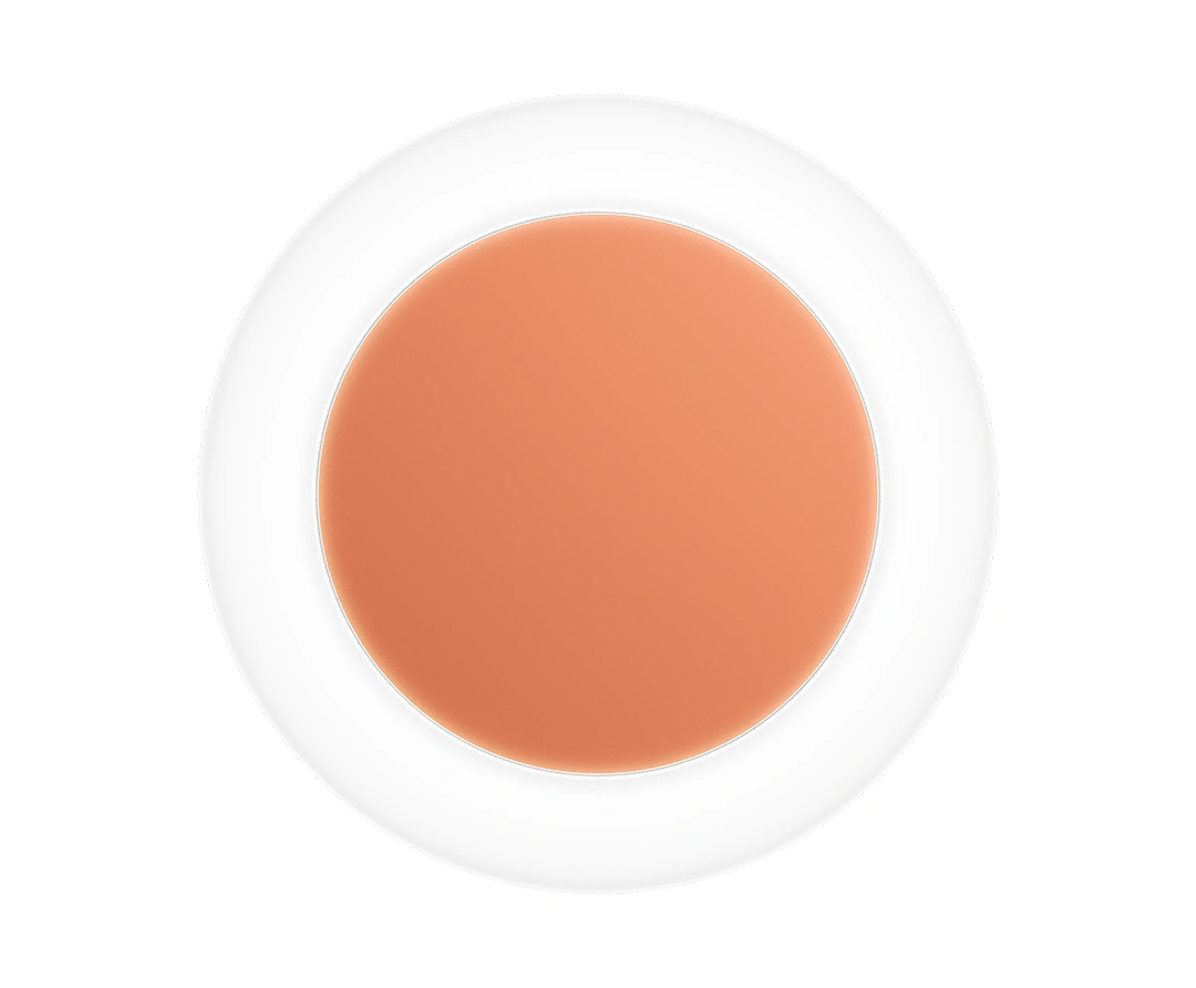 Exolus circular wall light featuring opal polycarbonate ring and copper powder-coated centre detail.