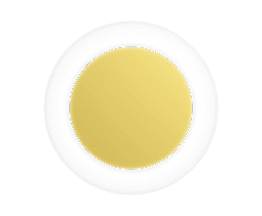 Exolus circular wall light featuring opal polycarbonate ring and gold powder-coated centre detail.